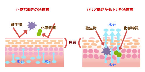 �p���w�̓���