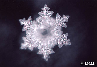 ���̌���