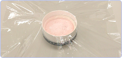 YH���[�Z���g�p�E�_�[