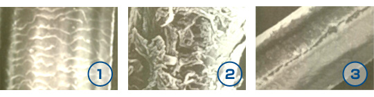 キューティクルの状態を比較した写真